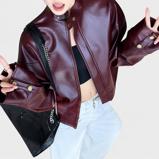 Korean-style stand-neck long-sleeve jacket, women's spring new fashionable slimming leather jacket, youthful, niche cardigan